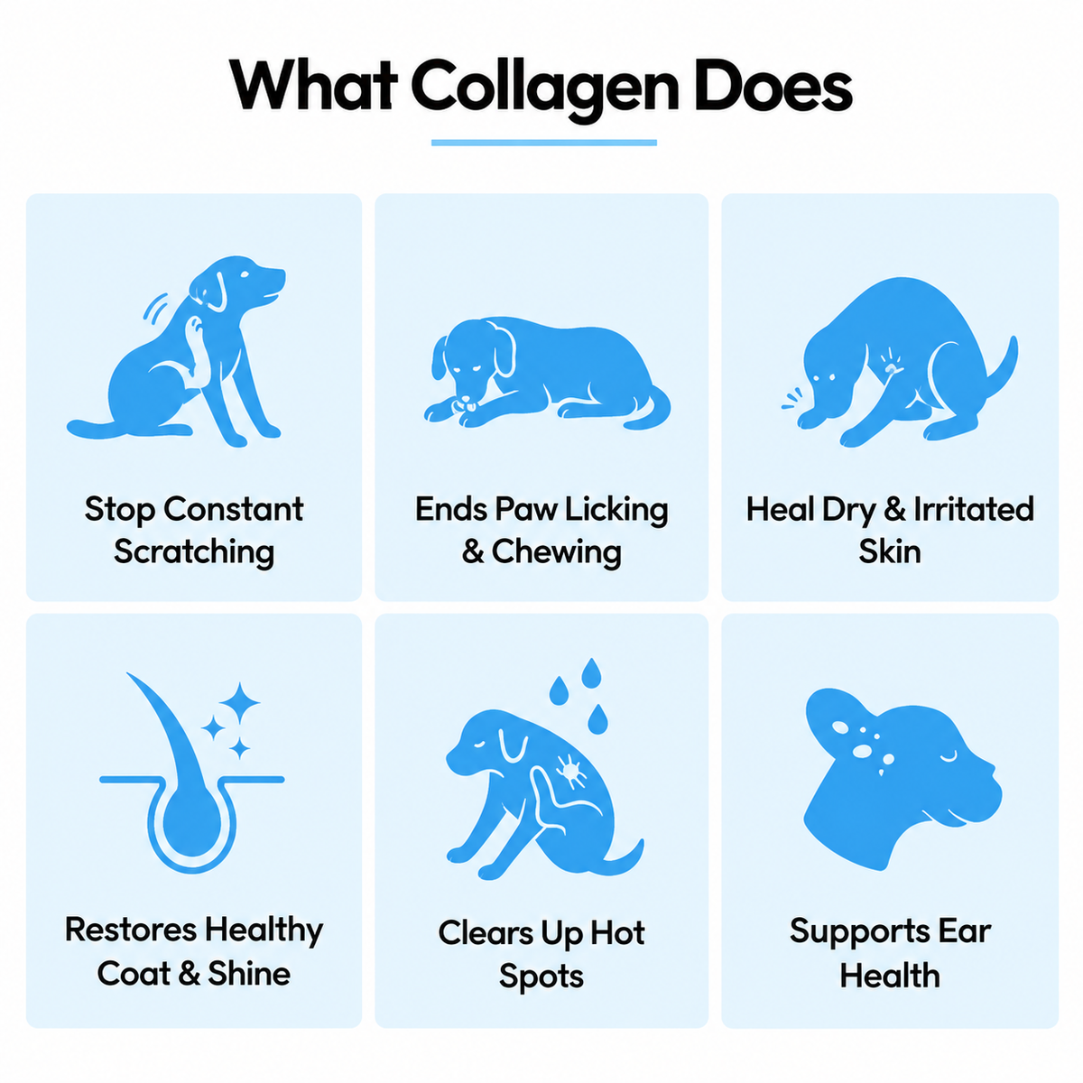 Pawmise Premium Liquid Collagen
