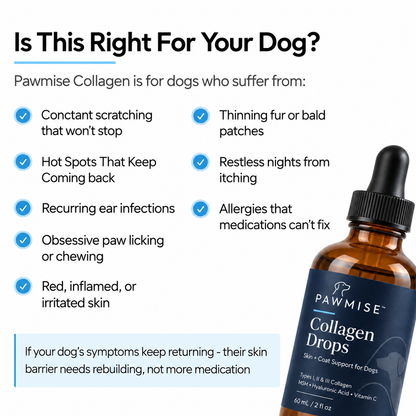 Pawmise Premium Liquid Collagen