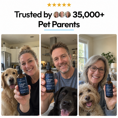 Pawmise Premium Liquid Collagen