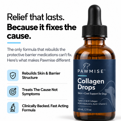 Pawmise Premium Liquid Collagen